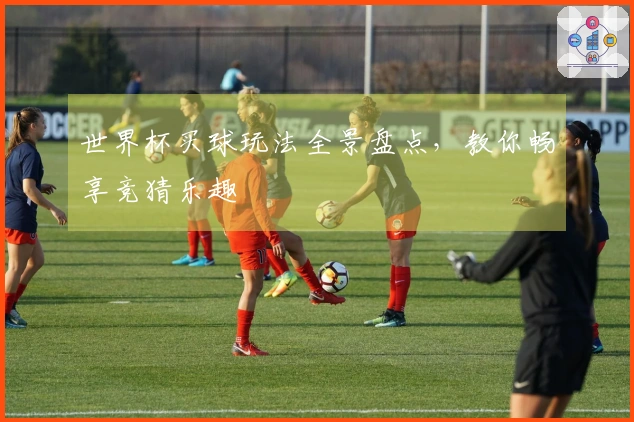 世界杯买球玩法全景盘点，教你畅享竞猜乐趣