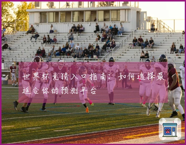 世界杯竞猜入口指南：如何选择最适合你的预测平台