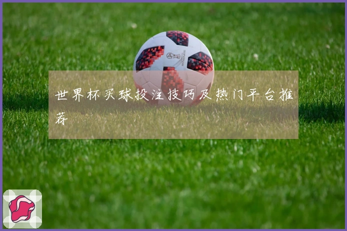 世界杯买球投注技巧及热门平台推荐