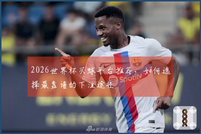 2026世界杯买球平台推荐，如何选择最靠谱的下注途径