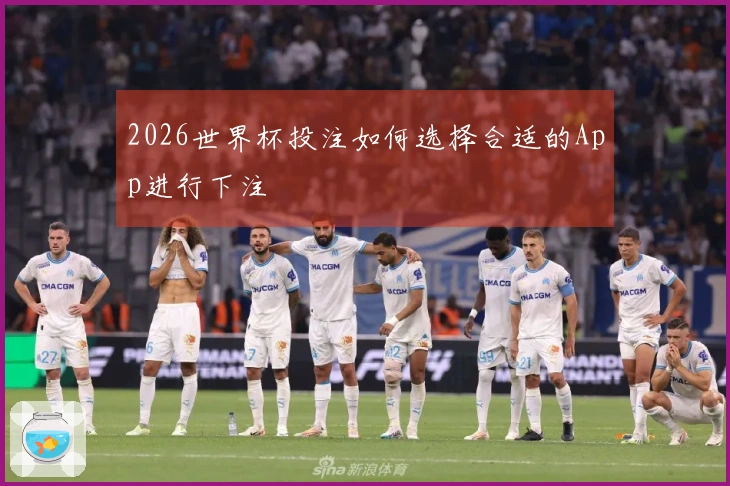 2026世界杯投注如何选择合适的App进行下注
