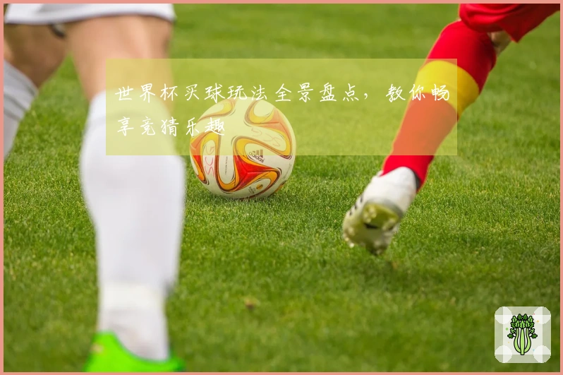 世界杯买球玩法全景盘点，教你畅享竞猜乐趣