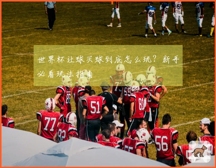 世界杯让球买球到底怎么玩？新手必看玩法指南