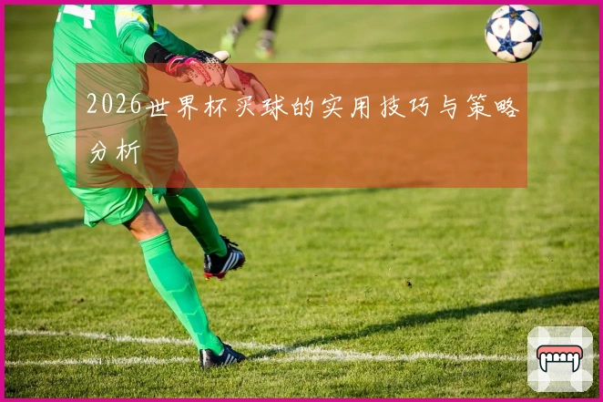 2026世界杯买球的实用技巧与策略分析