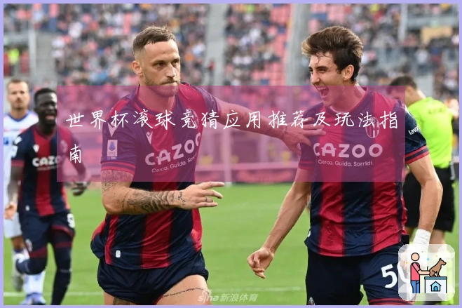 世界杯滚球竞猜应用推荐及玩法指南