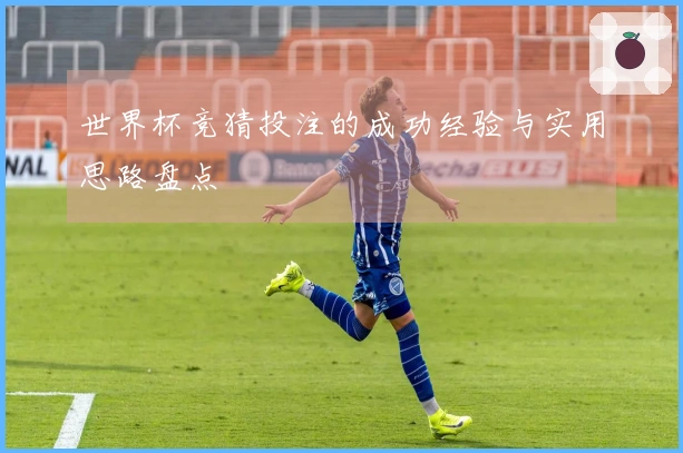 世界杯竞猜投注的成功经验与实用思路盘点