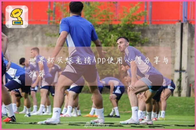 世界杯买球竞猜App使用心得分享与推荐