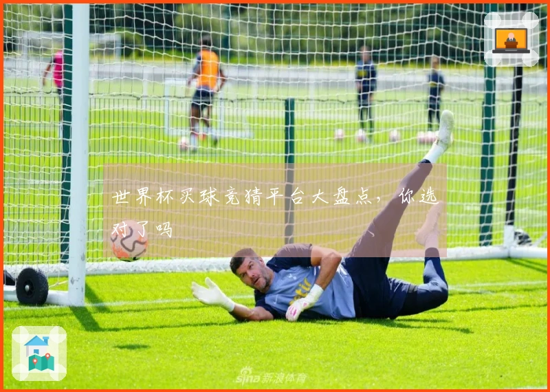 世界杯买球竞猜平台大盘点，你选对了吗