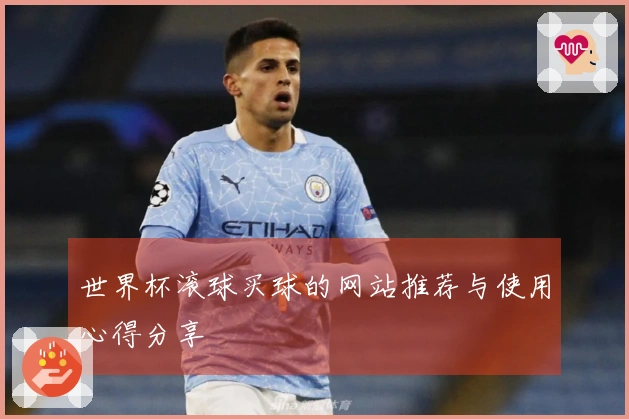 世界杯滚球买球的网站推荐与使用心得分享