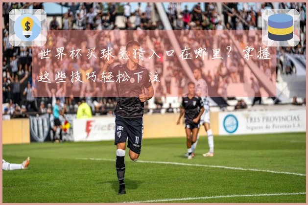 世界杯买球竞猜入口在哪里？掌握这些技巧轻松下注