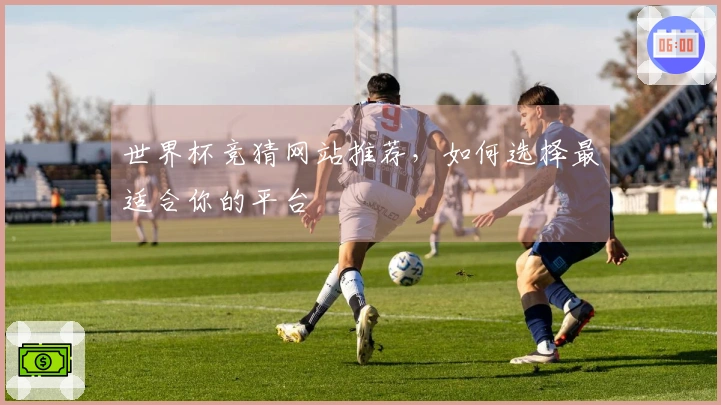 世界杯竞猜网站推荐,如何选择最适合你的平台